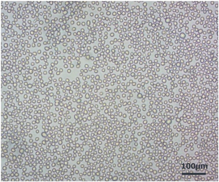 Host Cell Bank image