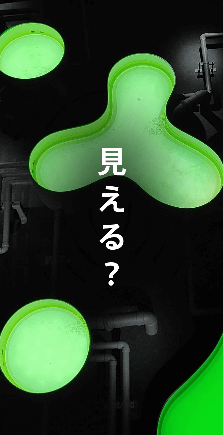 見える？