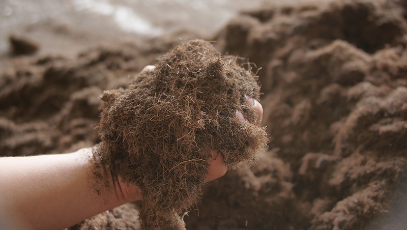 Convert agricultural waste into microbial inoculants and enrich soil microbiota in Southeast Asia