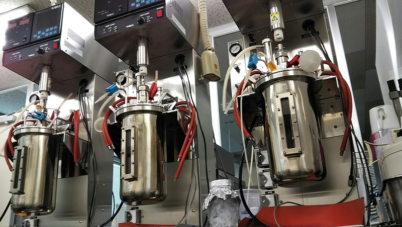 Inheriting the craftsmanship of cultivation technology from data by AI×Fermentation